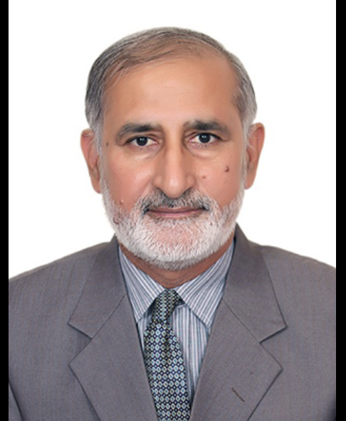 Prof. Dr. Syed Tufail H. Shah (NCEAC, Jamshoro)