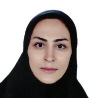 Prof. Dr. Hanifeh Seyed Hajizadeh (Iran)